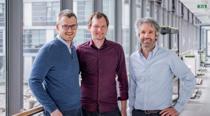 Dr. Luitpold Fried & Dr. Martin Krehenbrink & Martin Spitznagel (Bind-X)